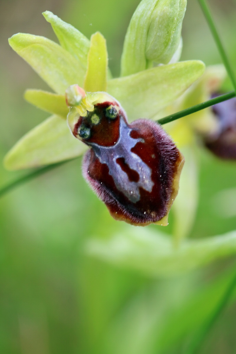 RNA_2017_05_07_3335p_Bildgr��e �ndern