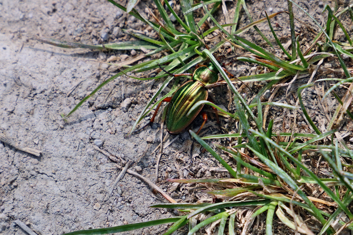 RNA_2017_05_07_3364p_Bildgr��e �ndern