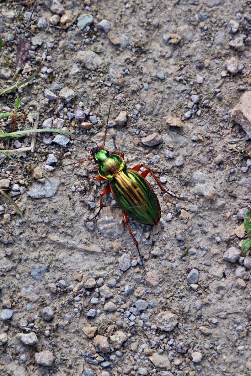 RNA_2017_05_07_3375p_Bildgr��e �ndern