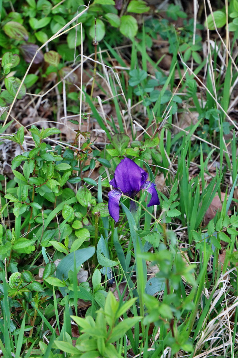 2017_05_08_030208p_Bildgr��e �ndern