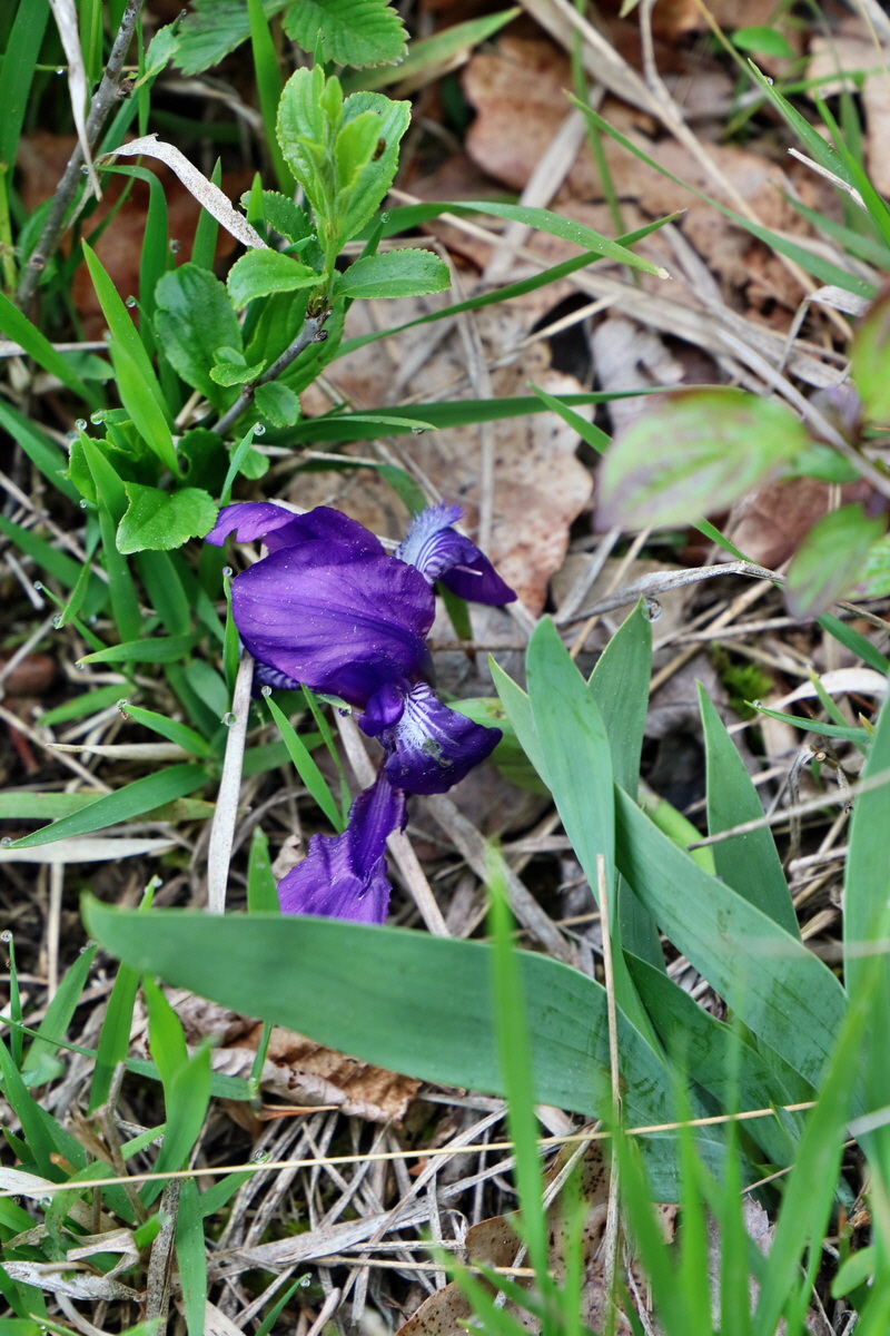 2017_05_08_030212p_Bildgr��e �ndern