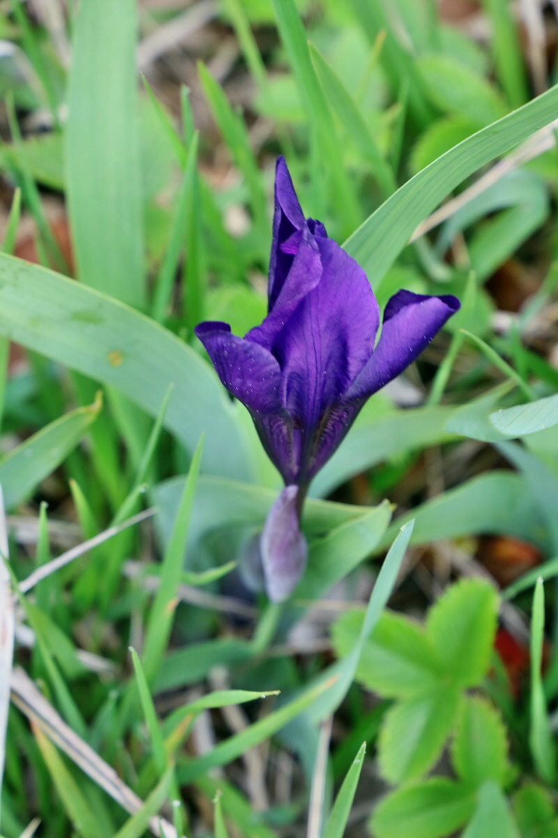 2017_05_08_030215p_Bildgr��e �ndern