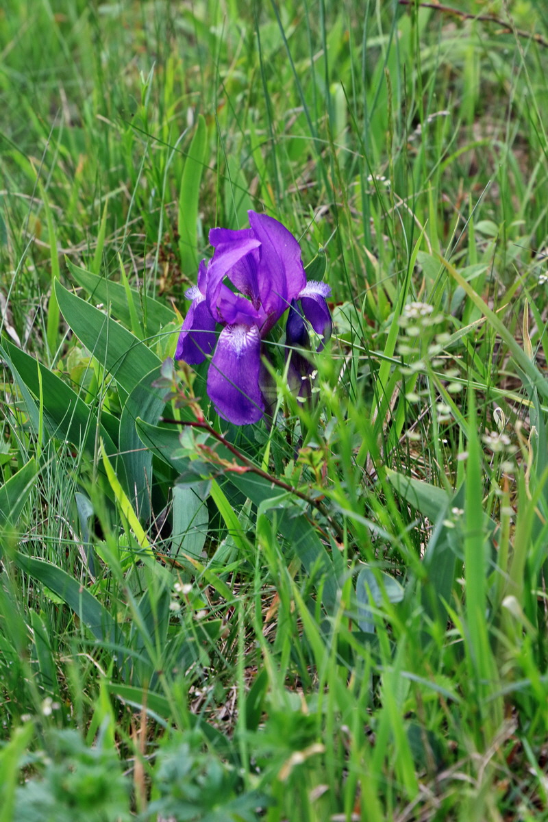 2017_05_08_030224p_Bildgr��e �ndern