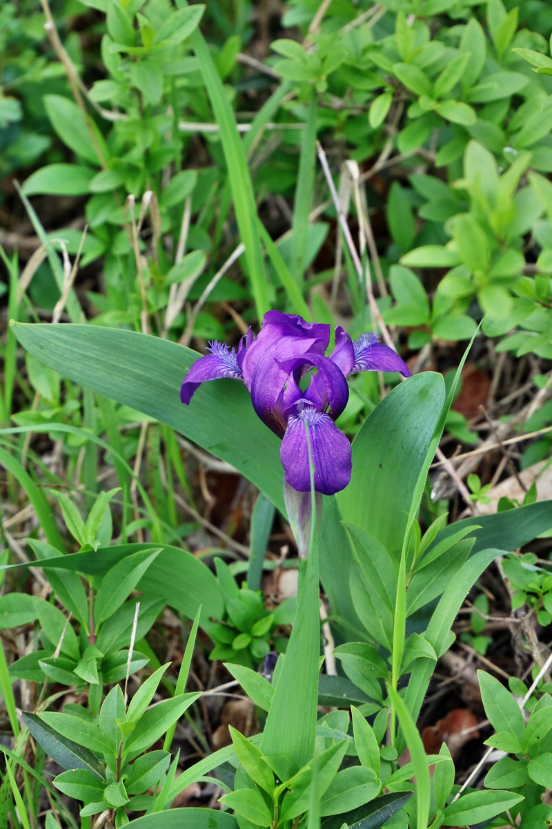 2017_05_08_030227p_Bildgr��e �ndern