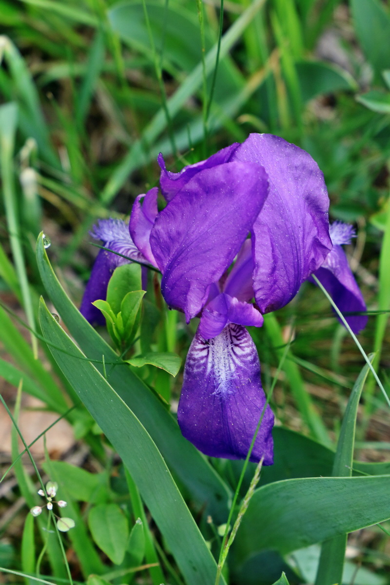 2017_05_08_030233p_Bildgr��e �ndern