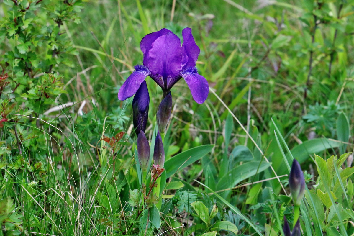 2017_05_08_030449p_Bildgr��e �ndern