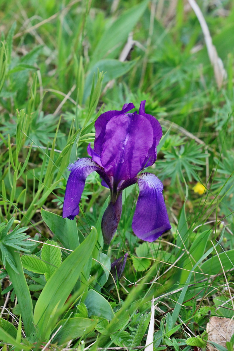 2017_05_08_030457p_Bildgr��e �ndern