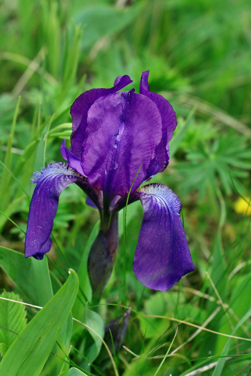 2017_05_08_030462p_Bildgr��e �ndern