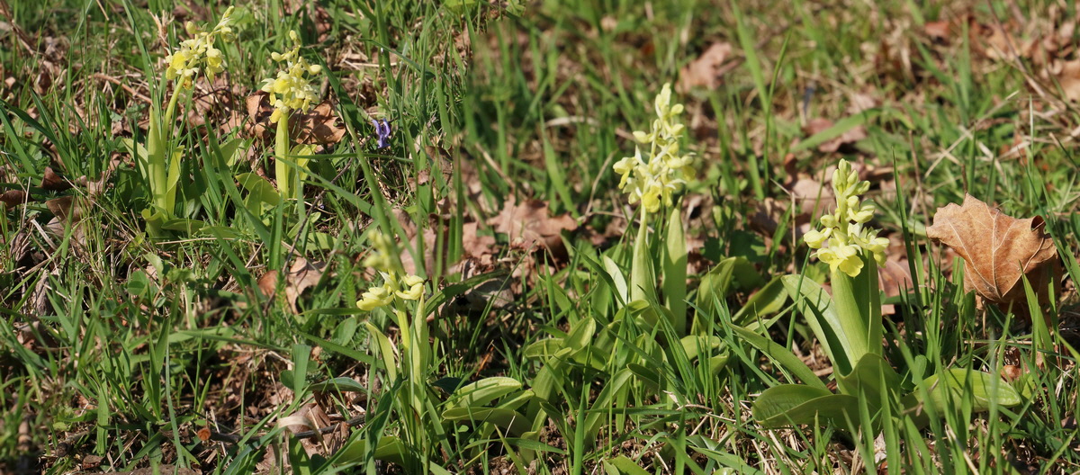 [Group 21]-RNA-2017-04-09-00027982_RNA-2017-04-09-00027987-3 images_Bildgr��e �ndern