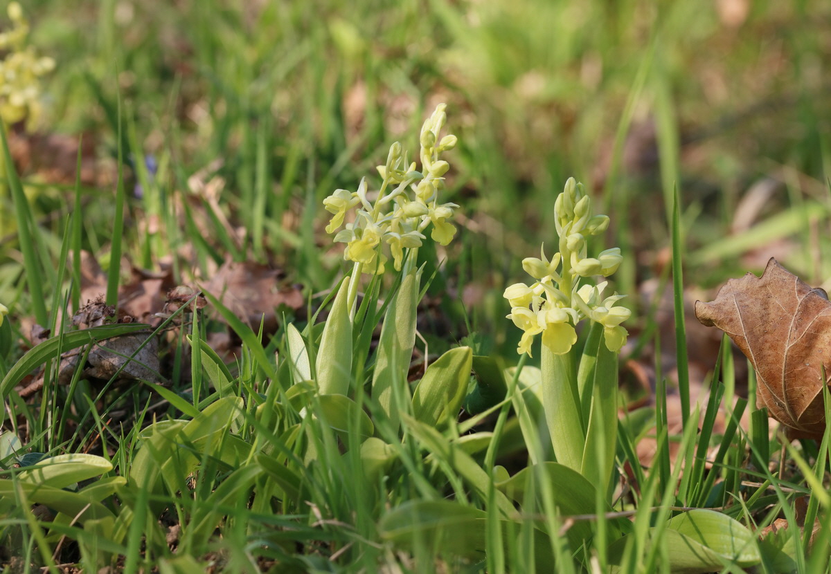 [Group 22]-RNA-2017-04-09-00028060_RNA-2017-04-09-00028066-3 images_Bildgr��e �ndern