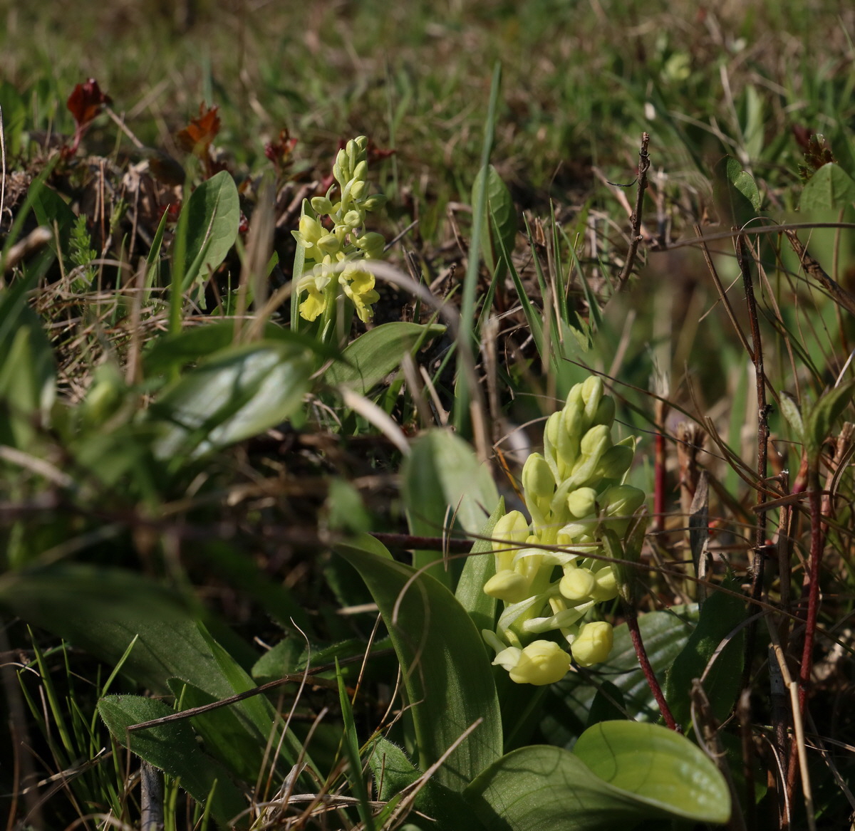 [Group 4]-RNA-2017-04-09-00028011_RNA-2017-04-09-00028013-2 images_Bildgr��e �ndern