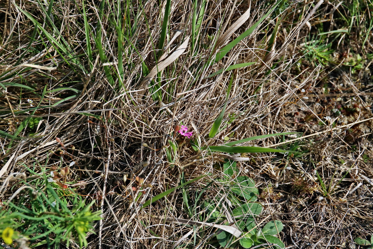 RNA-2017-04-09-00027857p_Bildgr��e �ndern