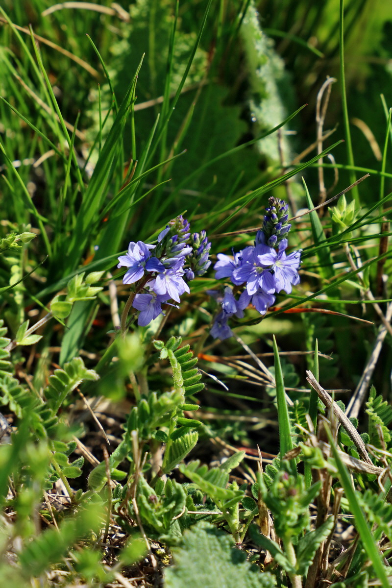 RNA-2017-04-09-00027886p_Bildgr��e �ndern