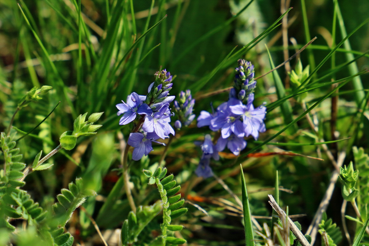 RNA-2017-04-09-00027888p_Bildgr��e �ndern