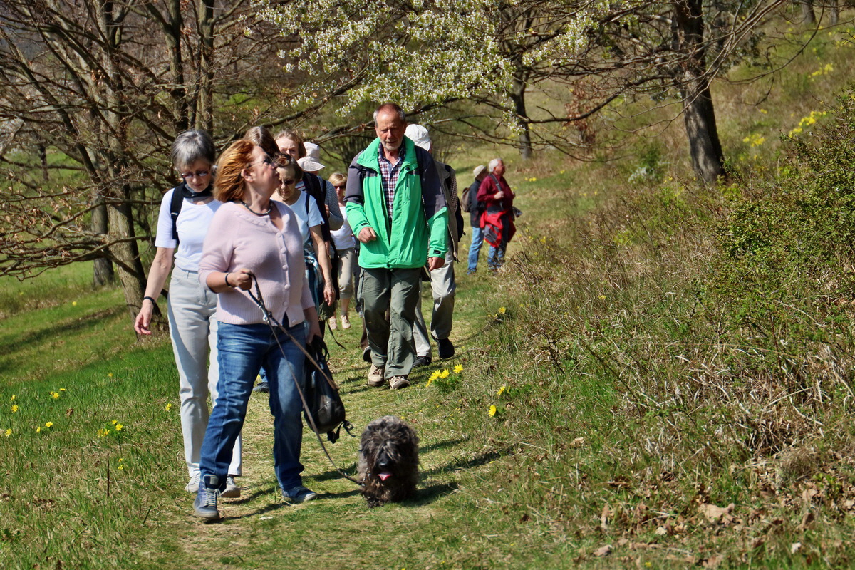 RNA-2017-04-09-00027939p_Bildgr��e �ndern