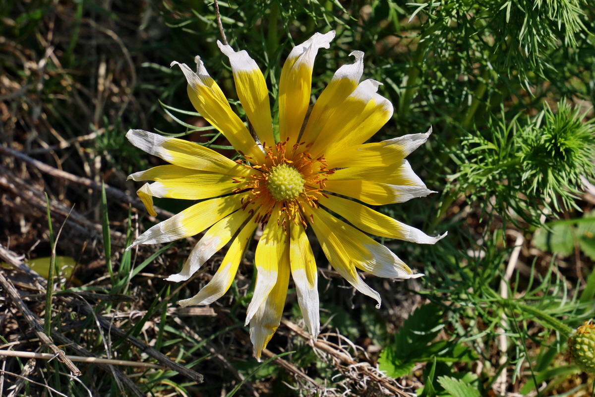 RNA-2017-04-09-00027976p_Bildgr��e �ndern