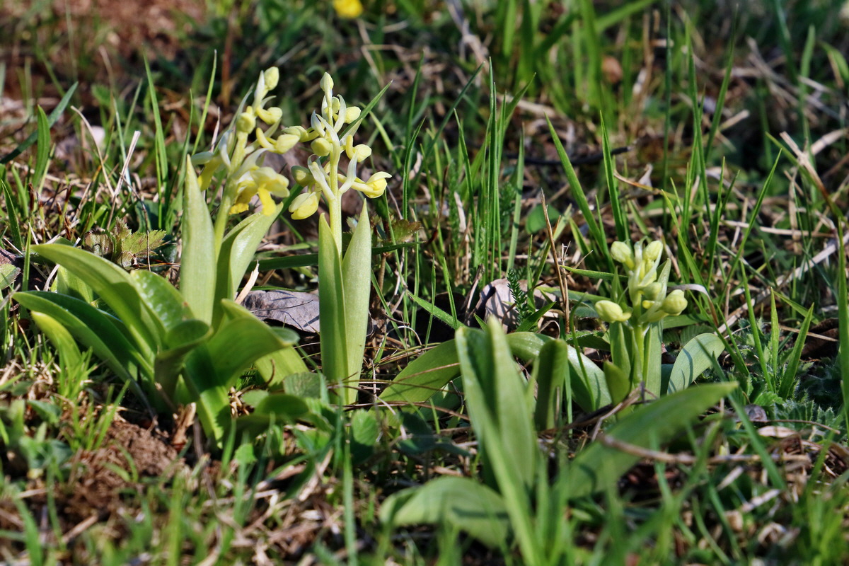 RNA-2017-04-09-00027979p_Bildgr��e �ndern