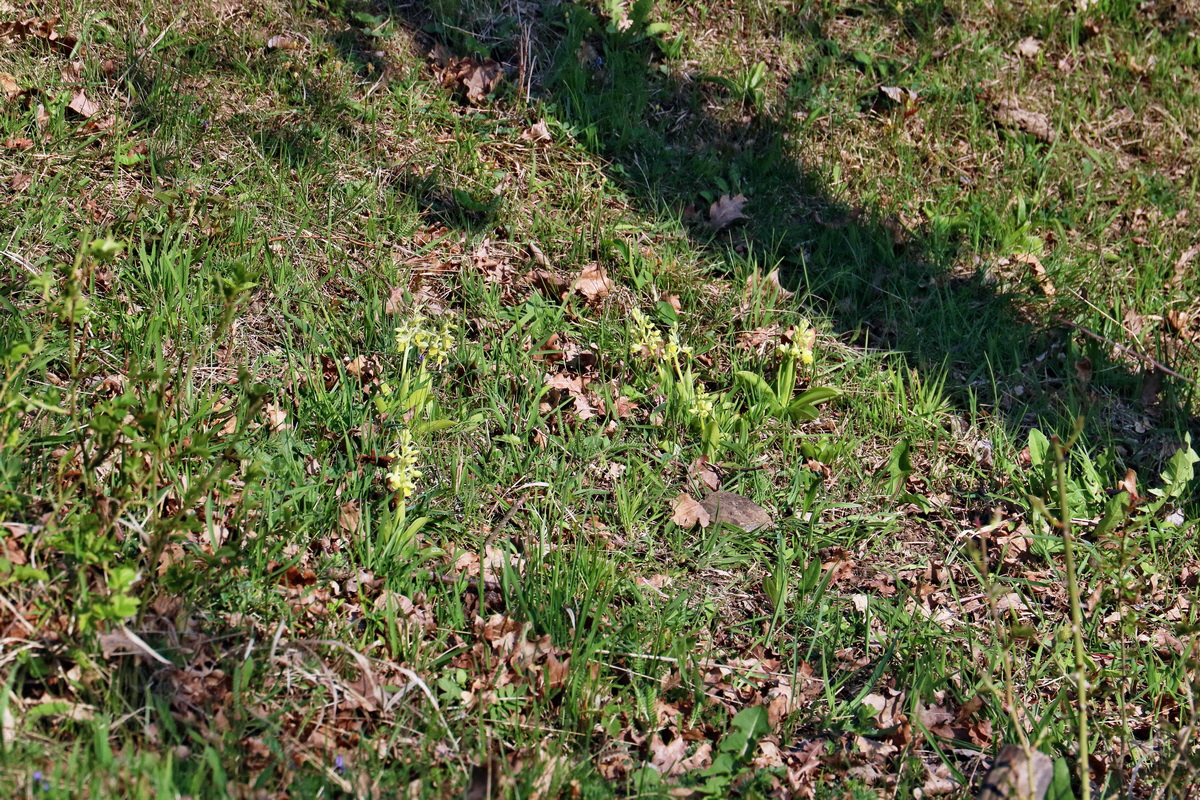 RNA-2017-04-09-00027980p_Bildgr��e �ndern