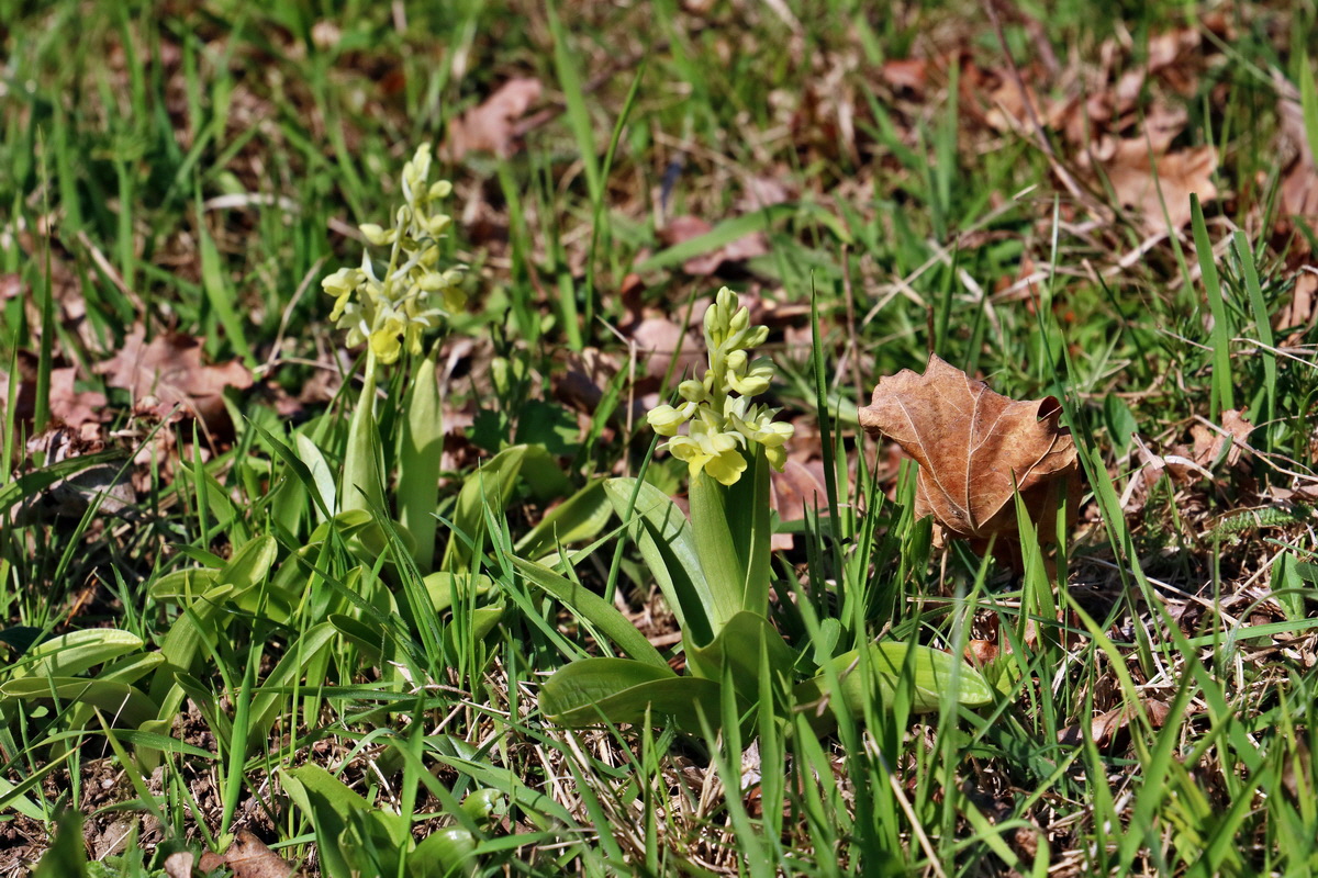 RNA-2017-04-09-00027983p_Bildgr��e �ndern