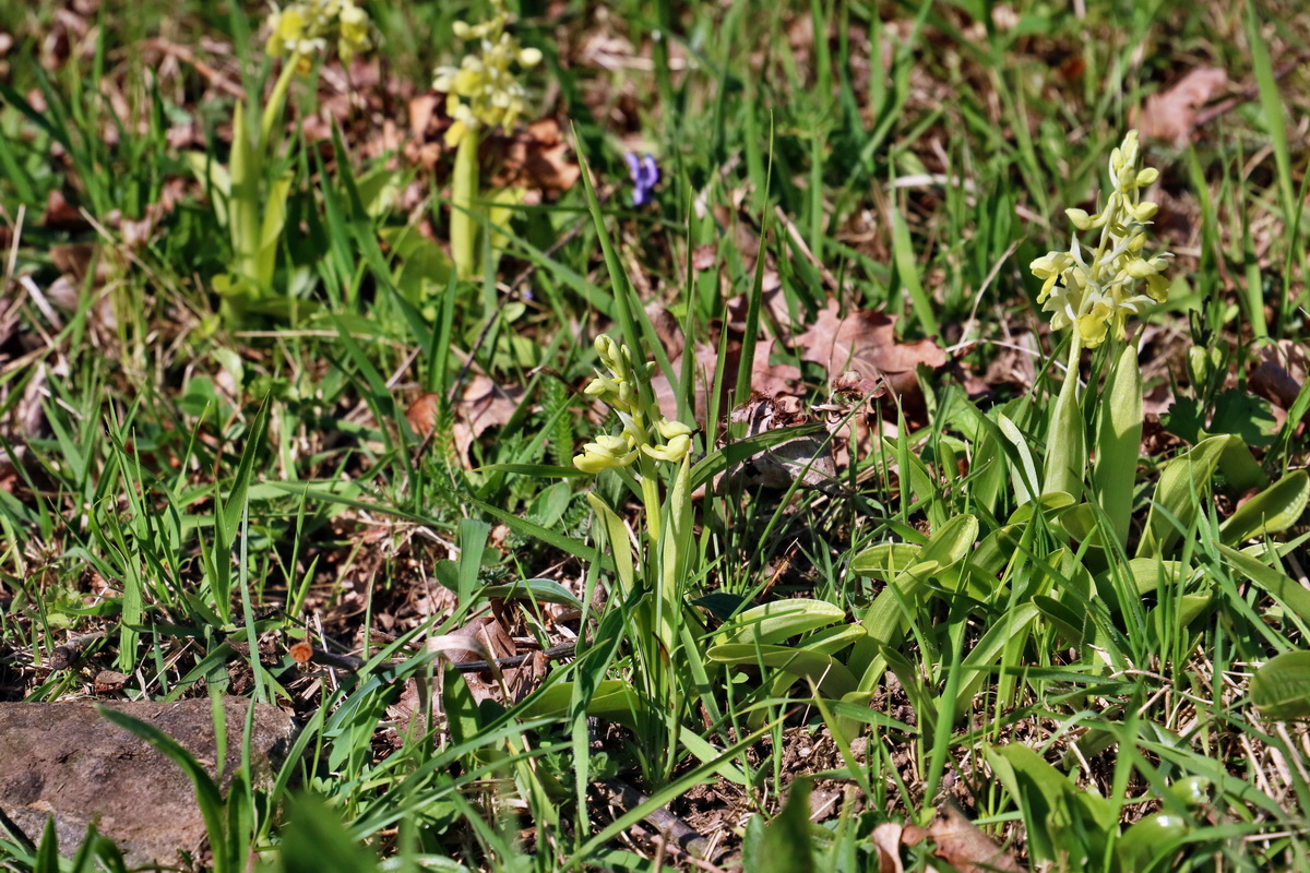 RNA-2017-04-09-00027985p_Bildgr��e �ndern