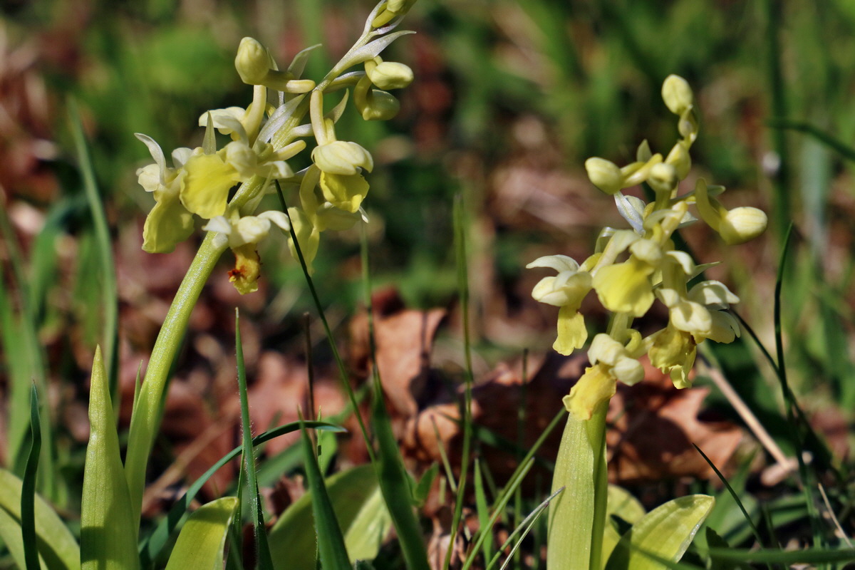 RNA-2017-04-09-00027989p_Bildgr��e �ndern