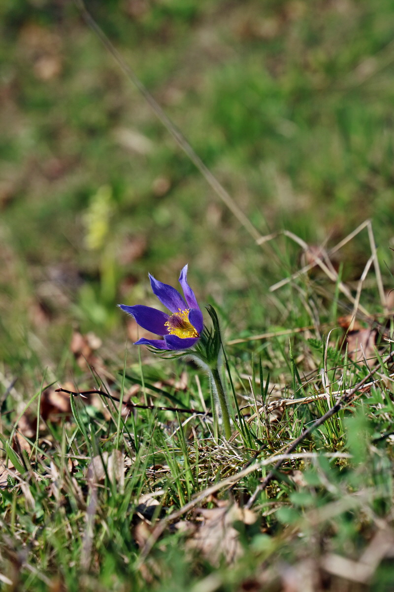 RNA-2017-04-09-00027990p_Bildgr��e �ndern