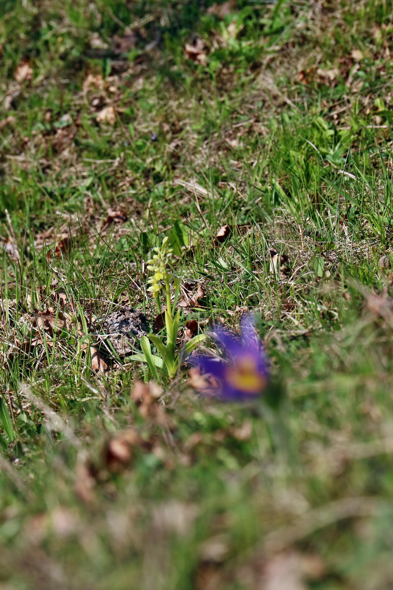 RNA-2017-04-09-00027992p_Bildgr��e �ndern