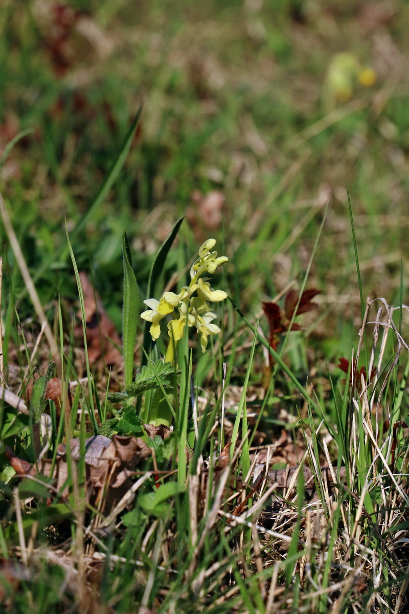 RNA-2017-04-09-00027994p_Bildgr��e �ndern