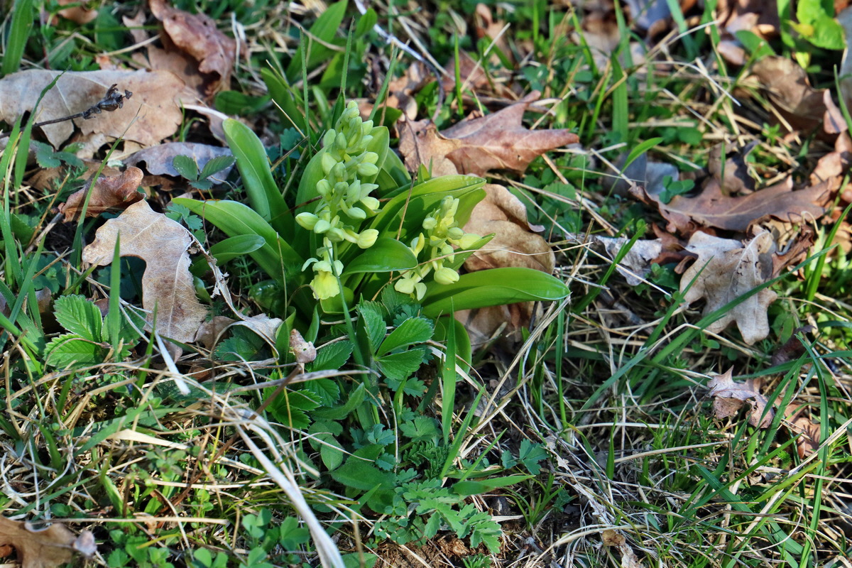 RNA-2017-04-09-00028001p_Bildgr��e �ndern