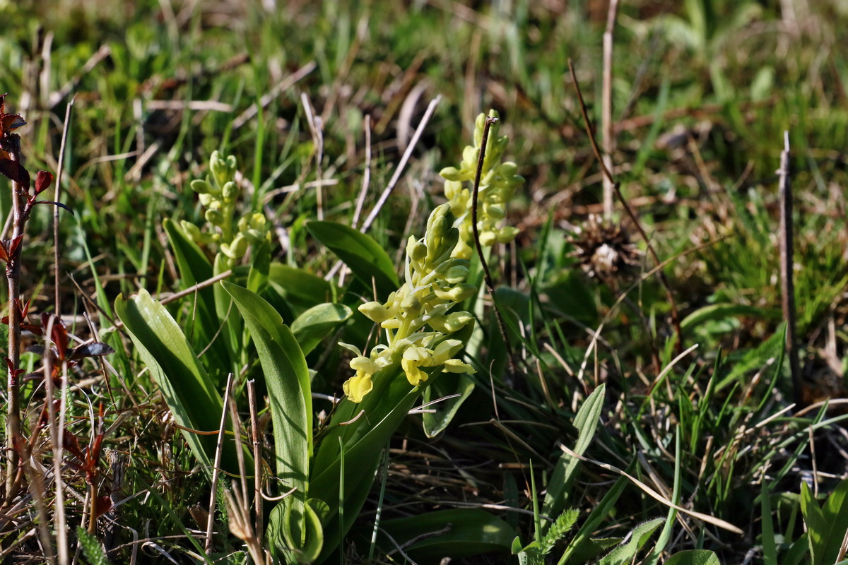 RNA-2017-04-09-00028008p_Bildgr��e �ndern