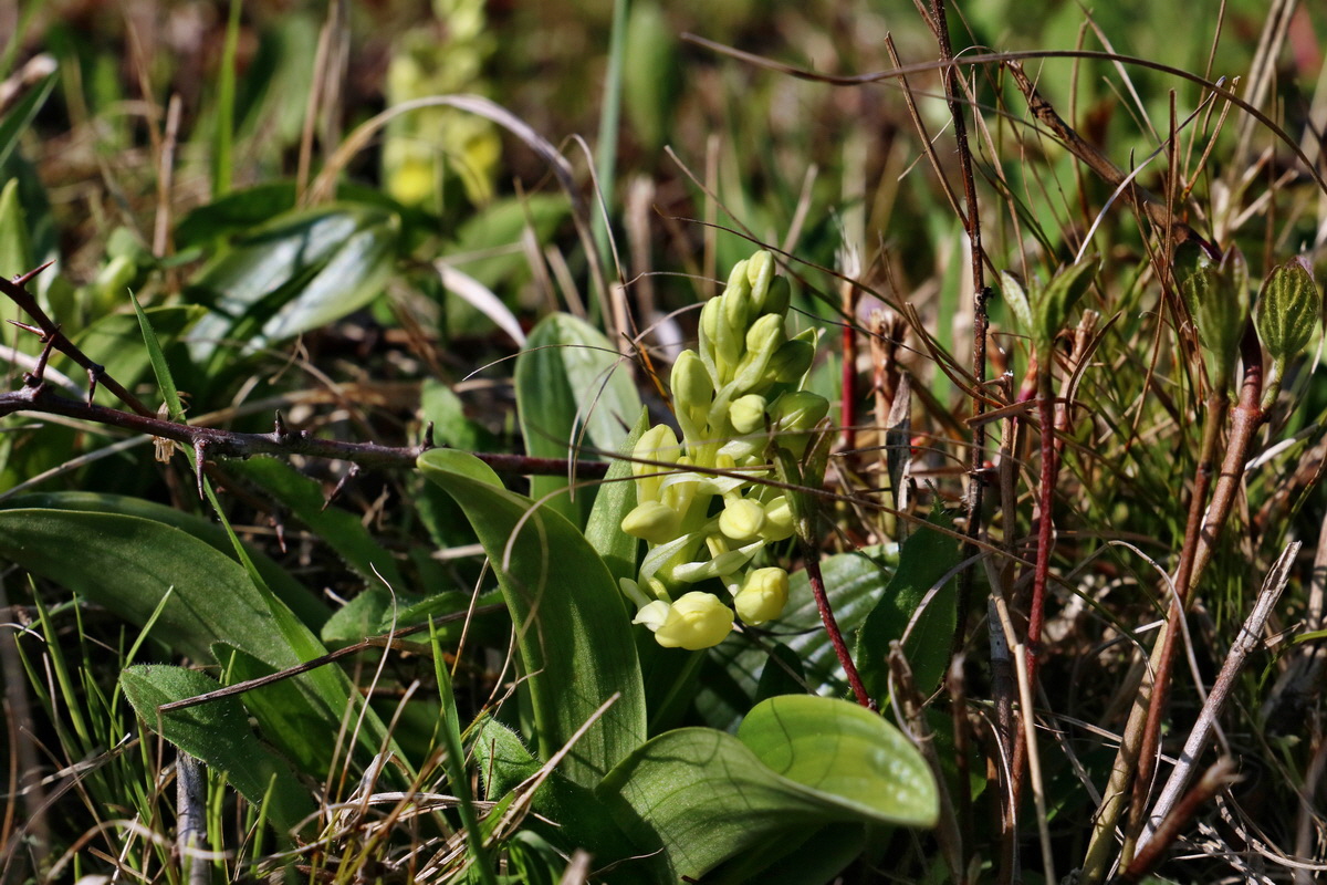 RNA-2017-04-09-00028012p_Bildgr��e �ndern