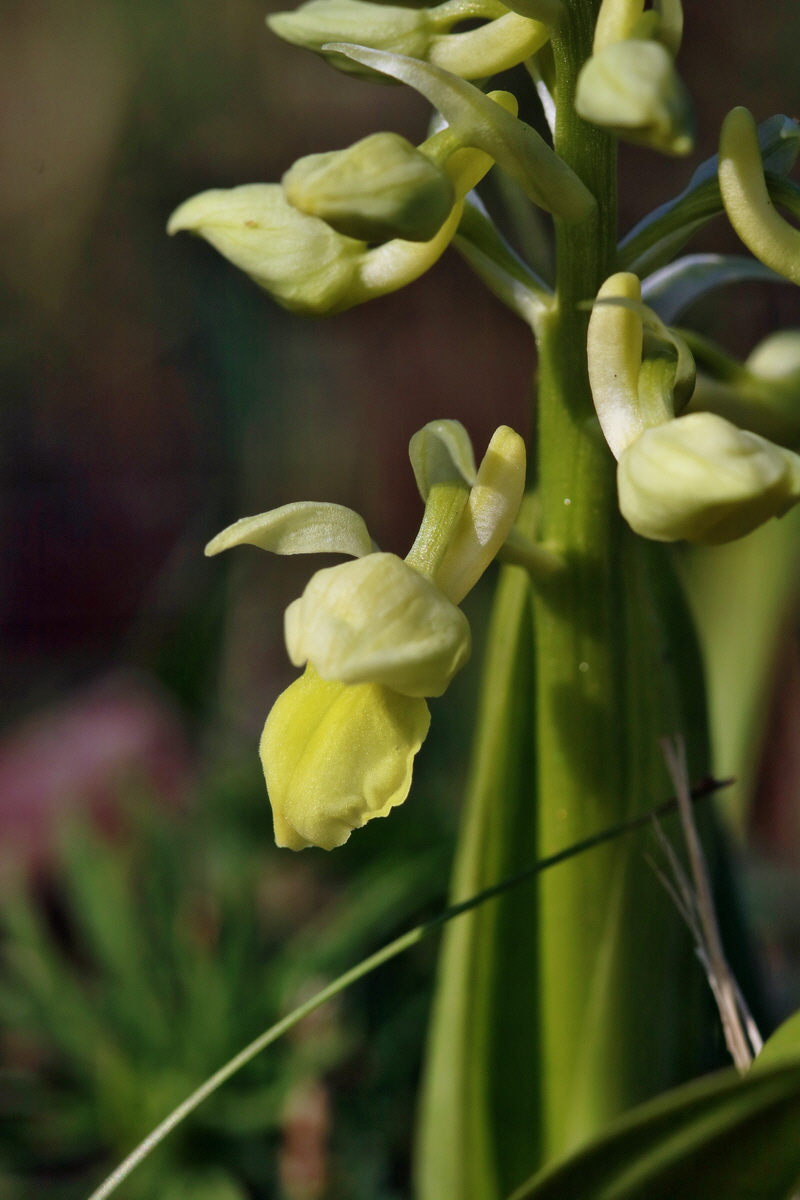 RNA-2017-04-09-00028020p_Bildgr��e �ndern