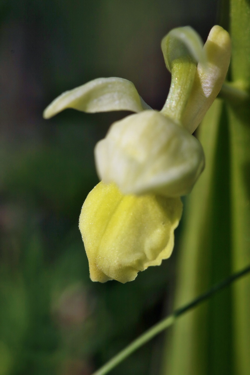 RNA-2017-04-09-00028022p_Bildgr��e �ndern