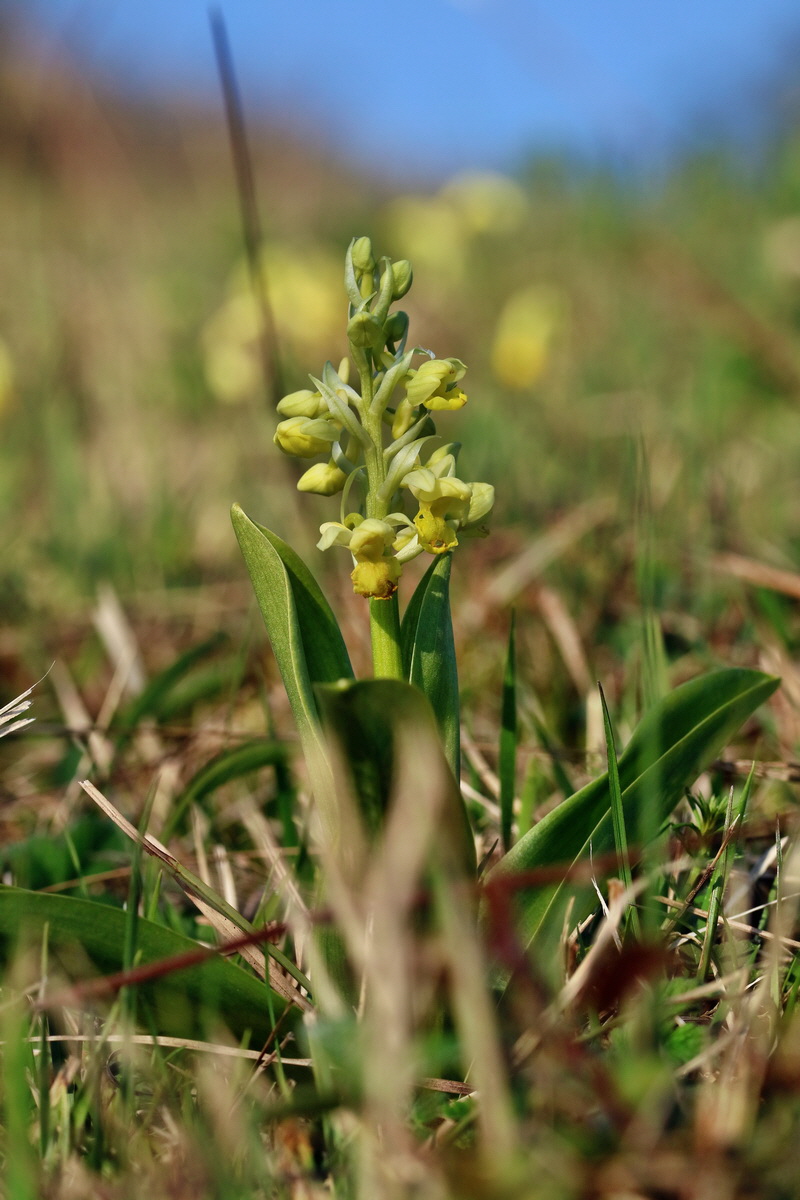 RNA-2017-04-09-00028024p_Bildgr��e �ndern