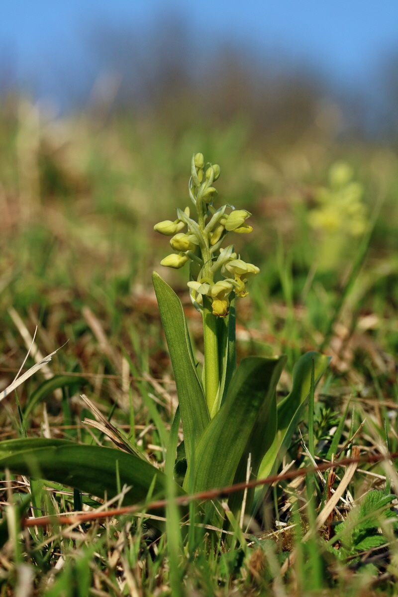 RNA-2017-04-09-00028026p_Bildgr��e �ndern