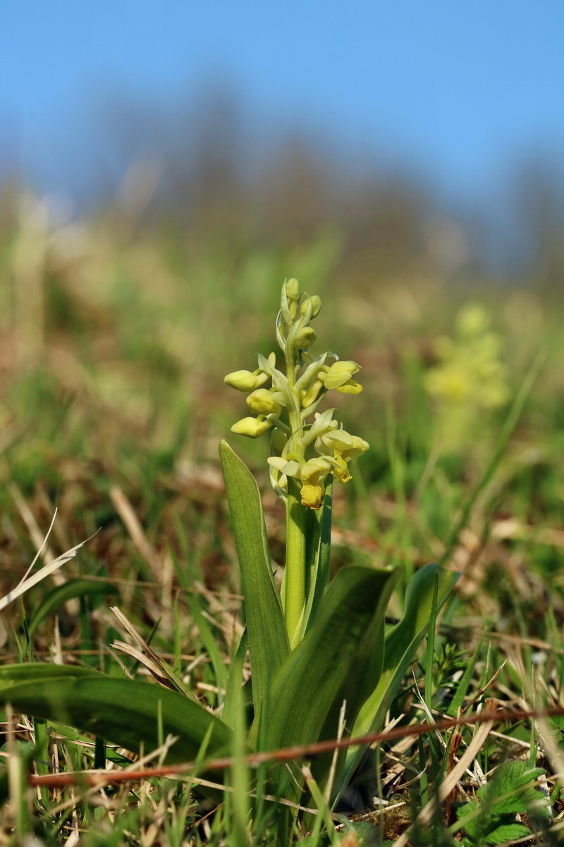 RNA-2017-04-09-00028031p_Bildgr��e �ndern