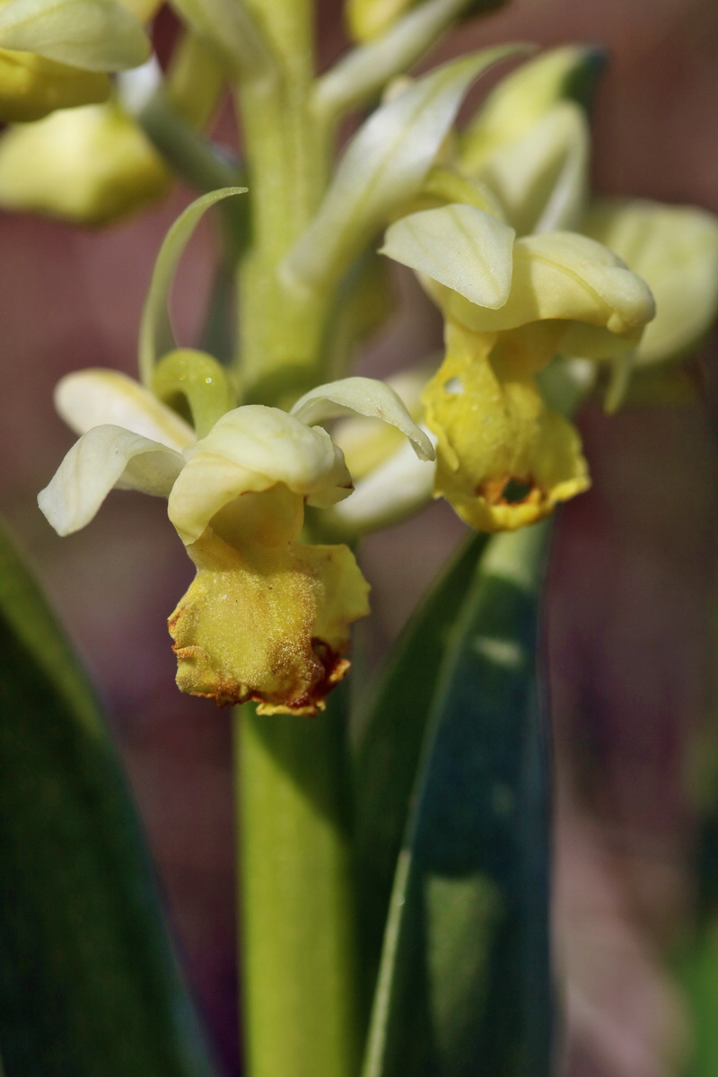 RNA-2017-04-09-00028033p_Bildgr��e �ndern