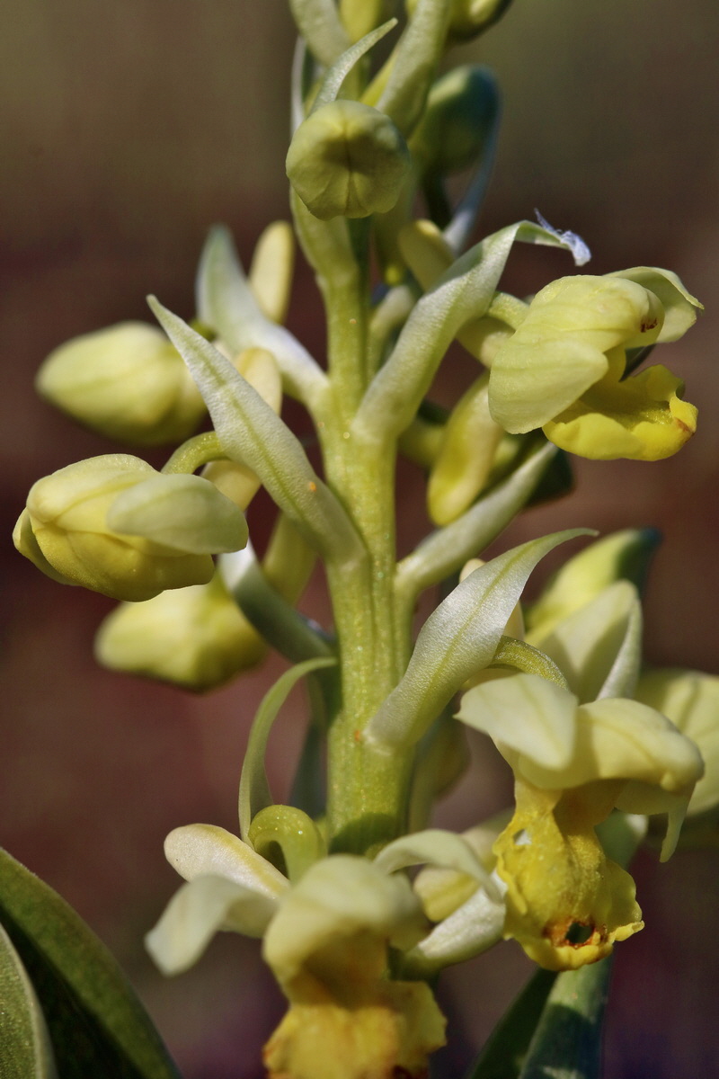 RNA-2017-04-09-00028041p_Bildgr��e �ndern