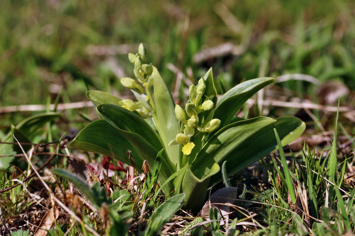 RNA-2017-04-09-00028049p_Bildgr��e �ndern