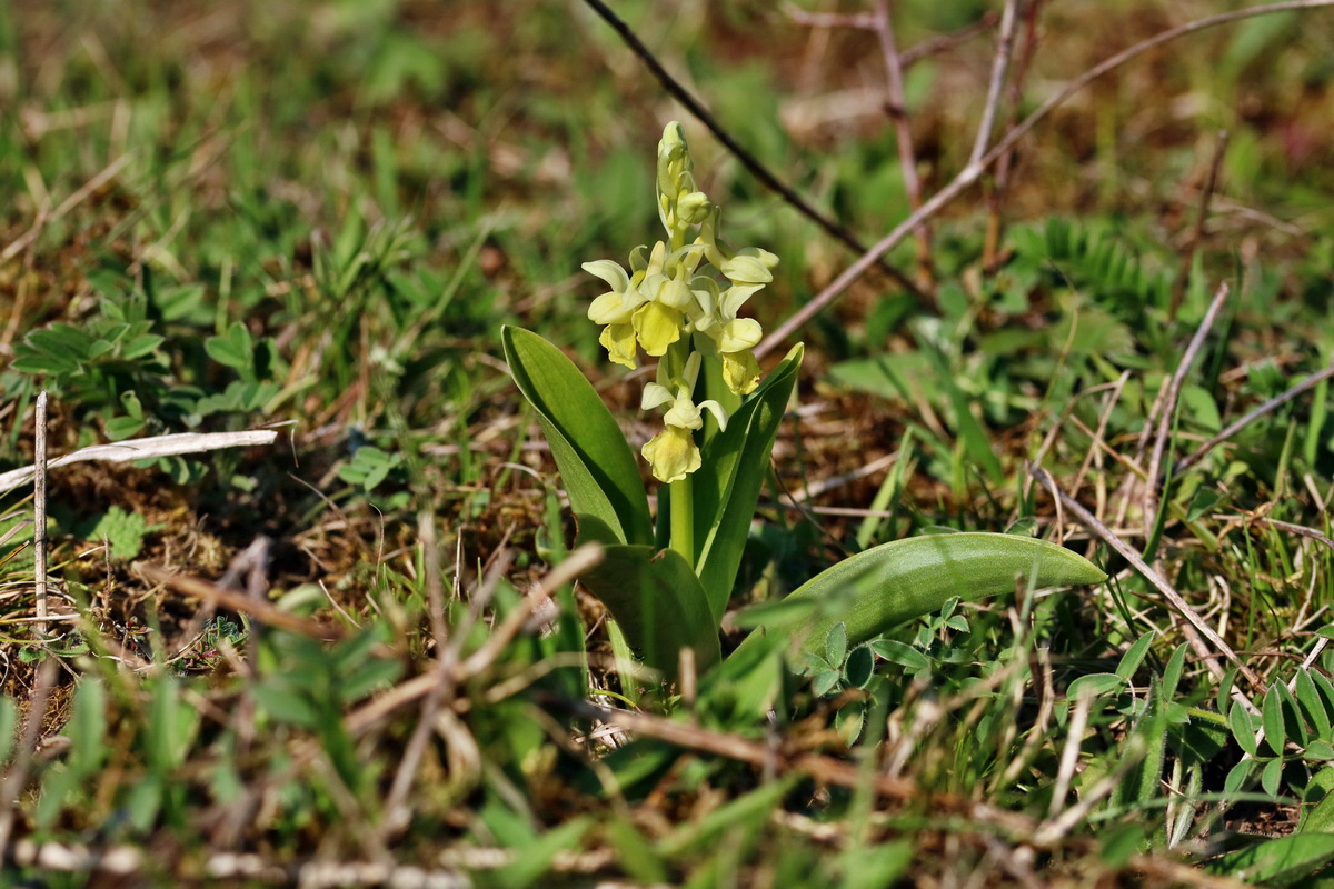 RNA-2017-04-09-00028053p_Bildgr��e �ndern