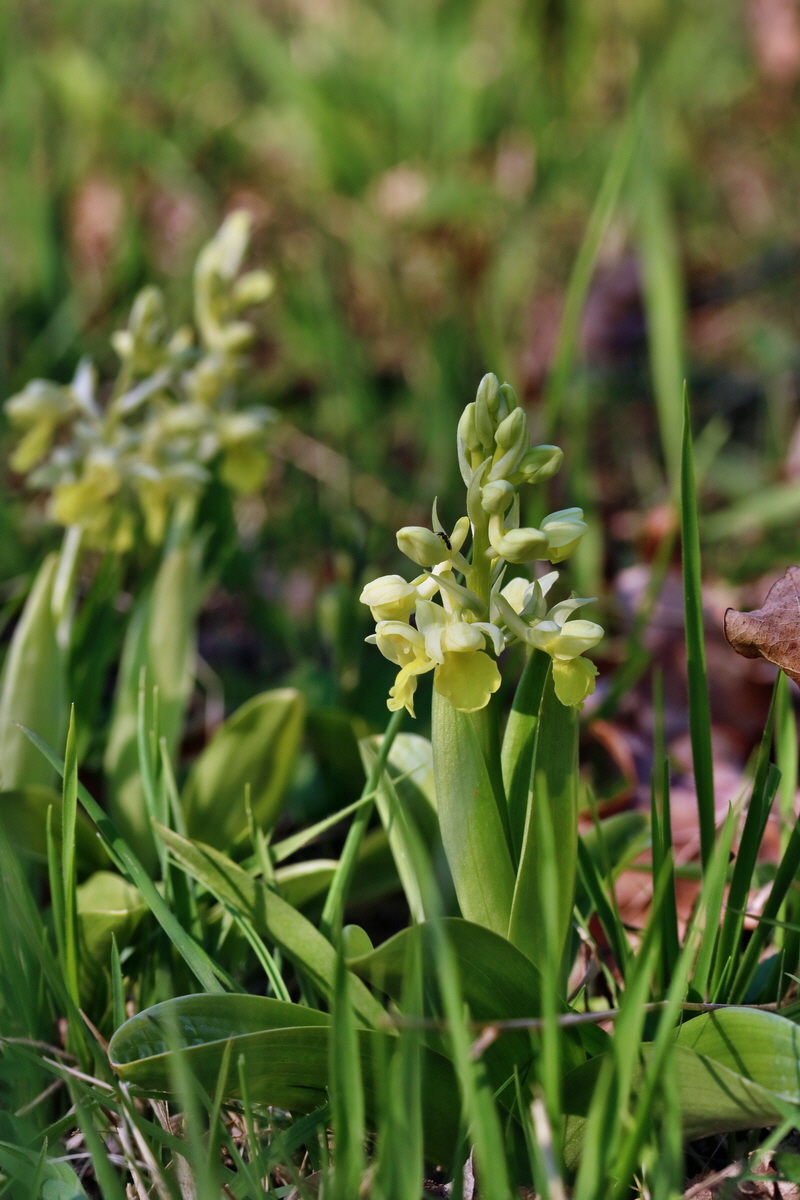 RNA-2017-04-09-00028062p_Bildgr��e �ndern