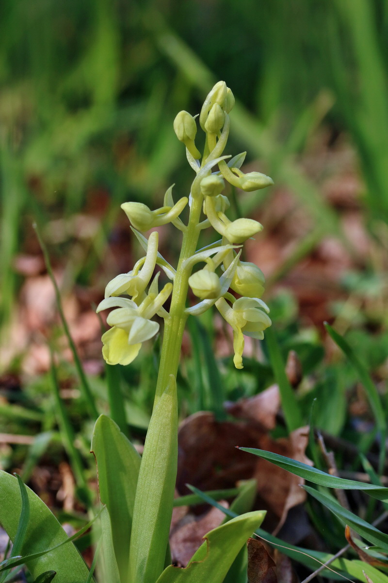 RNA-2017-04-09-00028069p_Bildgr��e �ndern