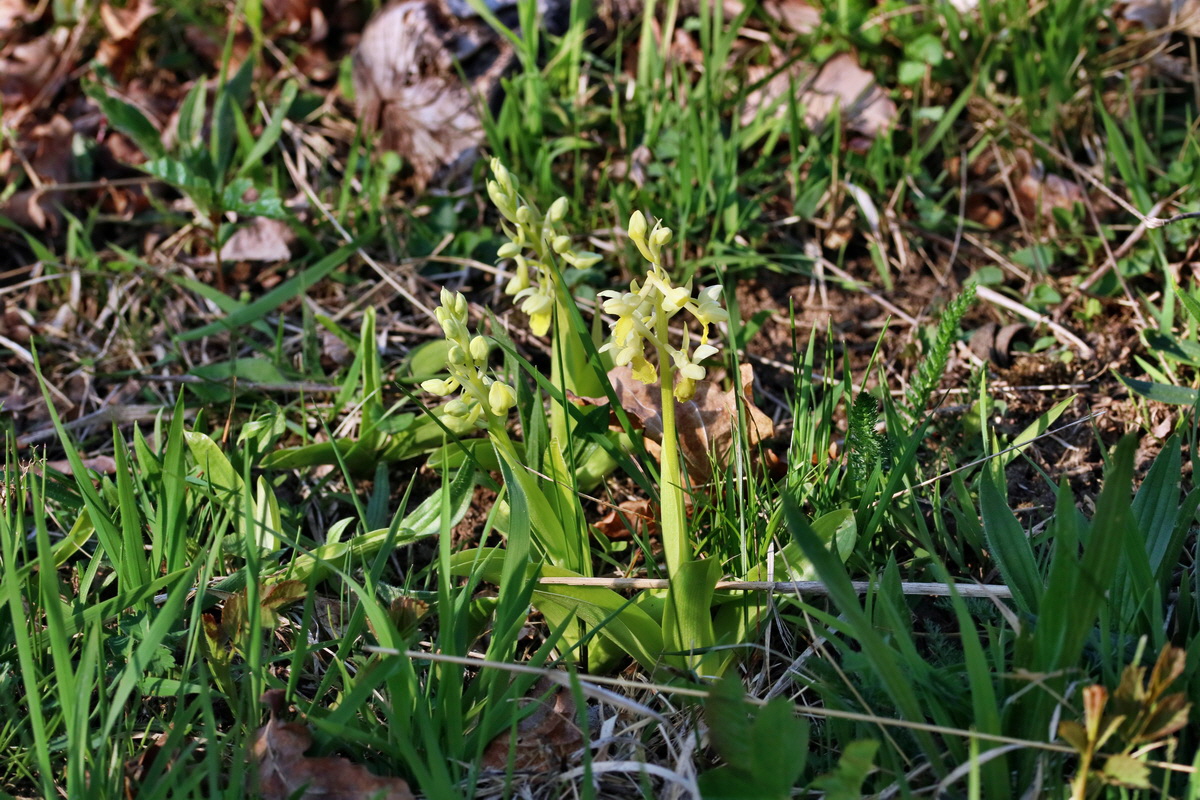 RNA-2017-04-09-00028073p_Bildgr��e �ndern