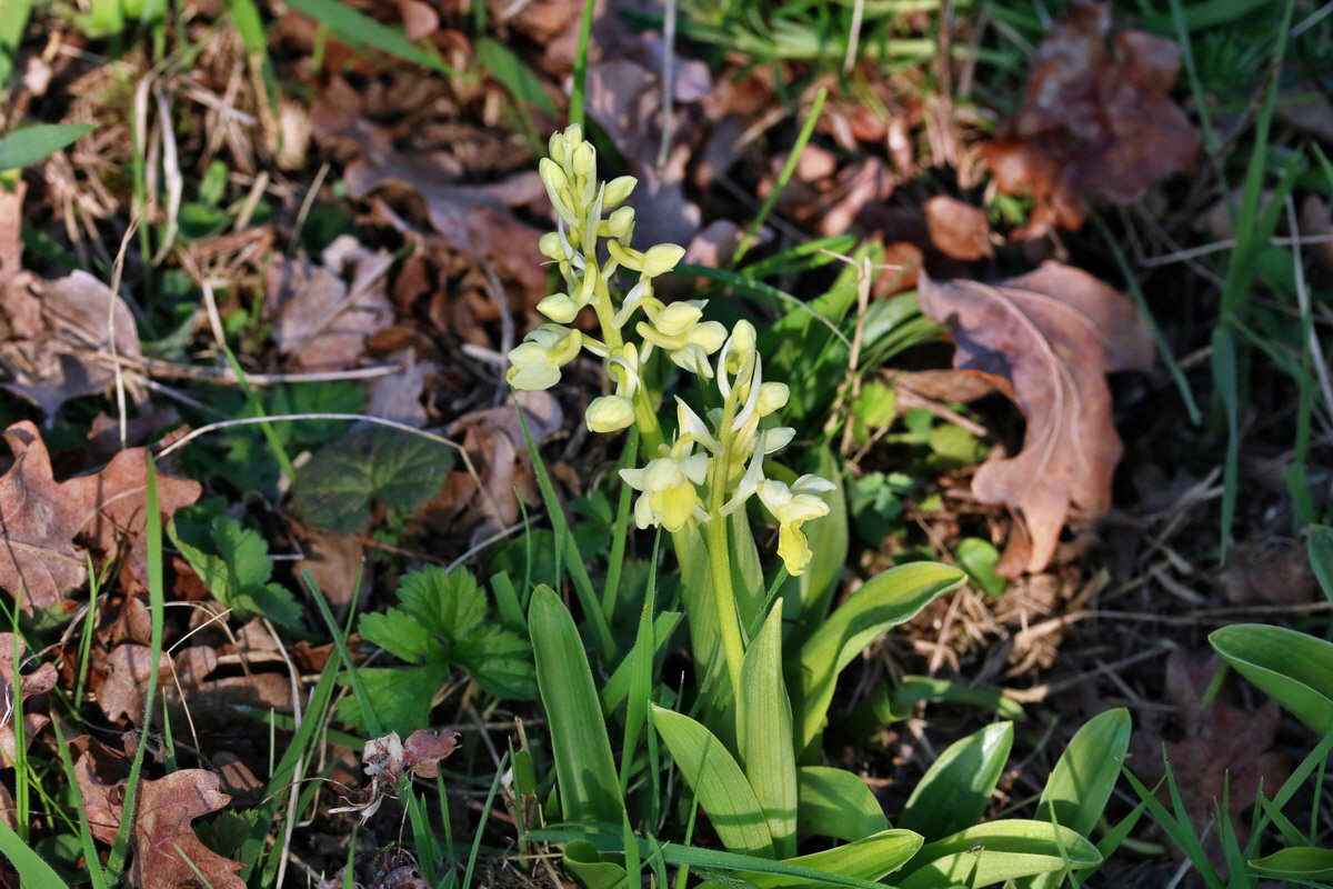 RNA-2017-04-09-00028077p_Bildgr��e �ndern