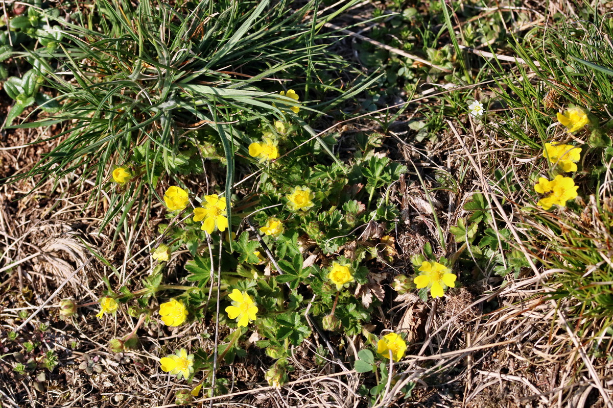 RNA-2017-04-09-00028081p_Bildgr��e �ndern