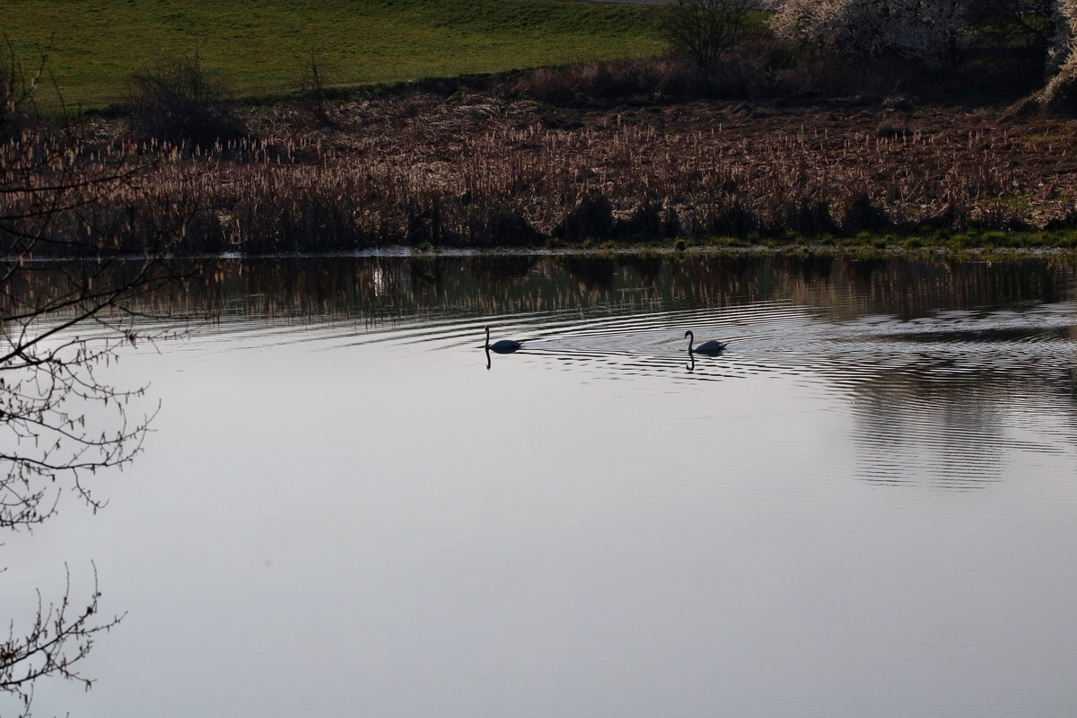 RNA-2017-04-09-00028084p_Bildgr��e �ndern