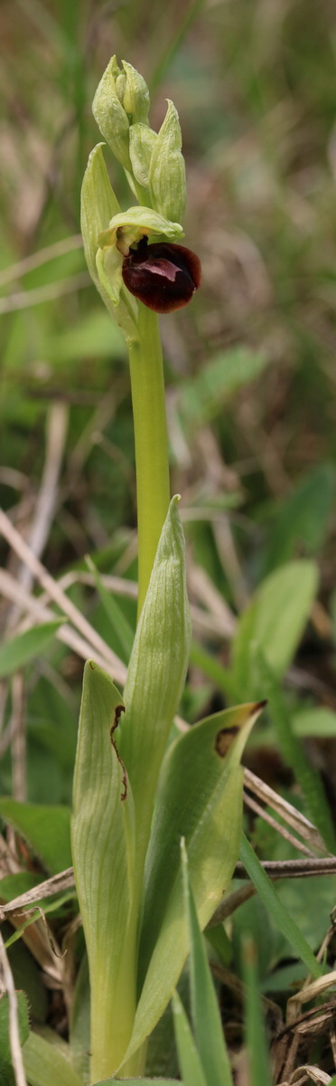 [Group 19]-RNA-2017-04-10-00028316_RNA-2017-04-10-00028323-8 images_Bildgr��e �ndern