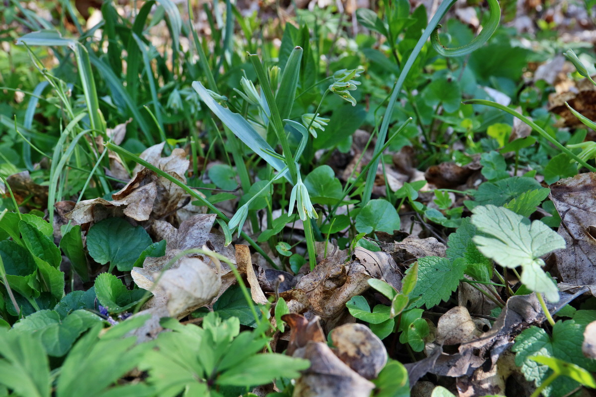 RNA-2017-04-10-00028137p_Bildgr��e �ndern