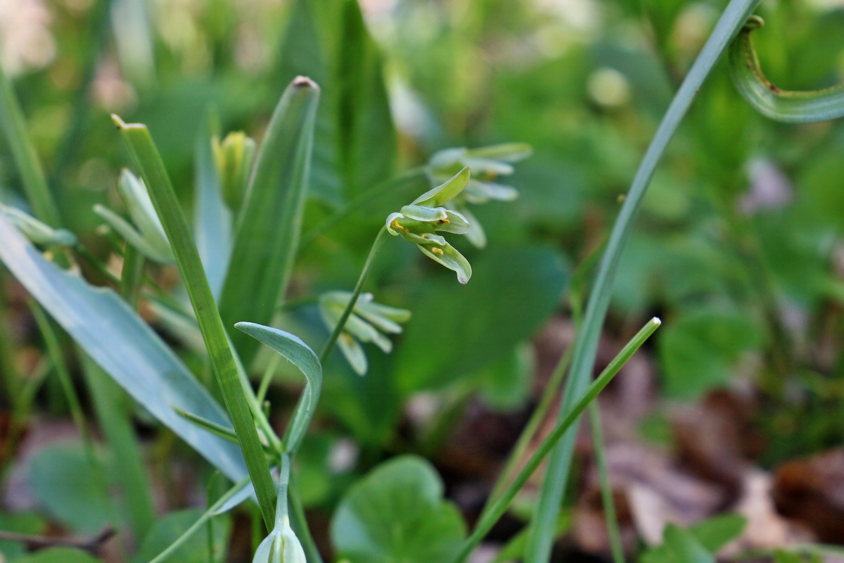 RNA-2017-04-10-00028139p_Bildgr��e �ndern