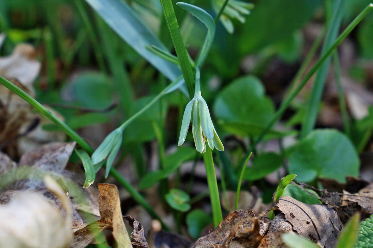 RNA-2017-04-10-00028141p_Bildgr��e �ndern